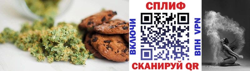 даркнет сайт  Новомосковск  Cannafood марихуана 
