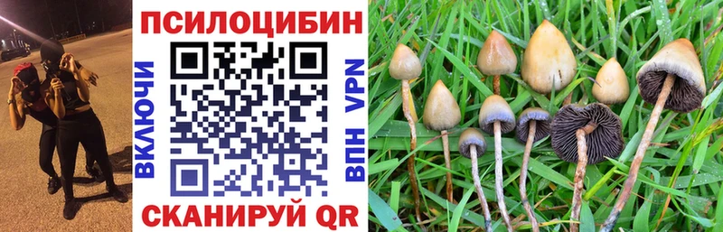 Галлюциногенные грибы мицелий  Новомосковск 